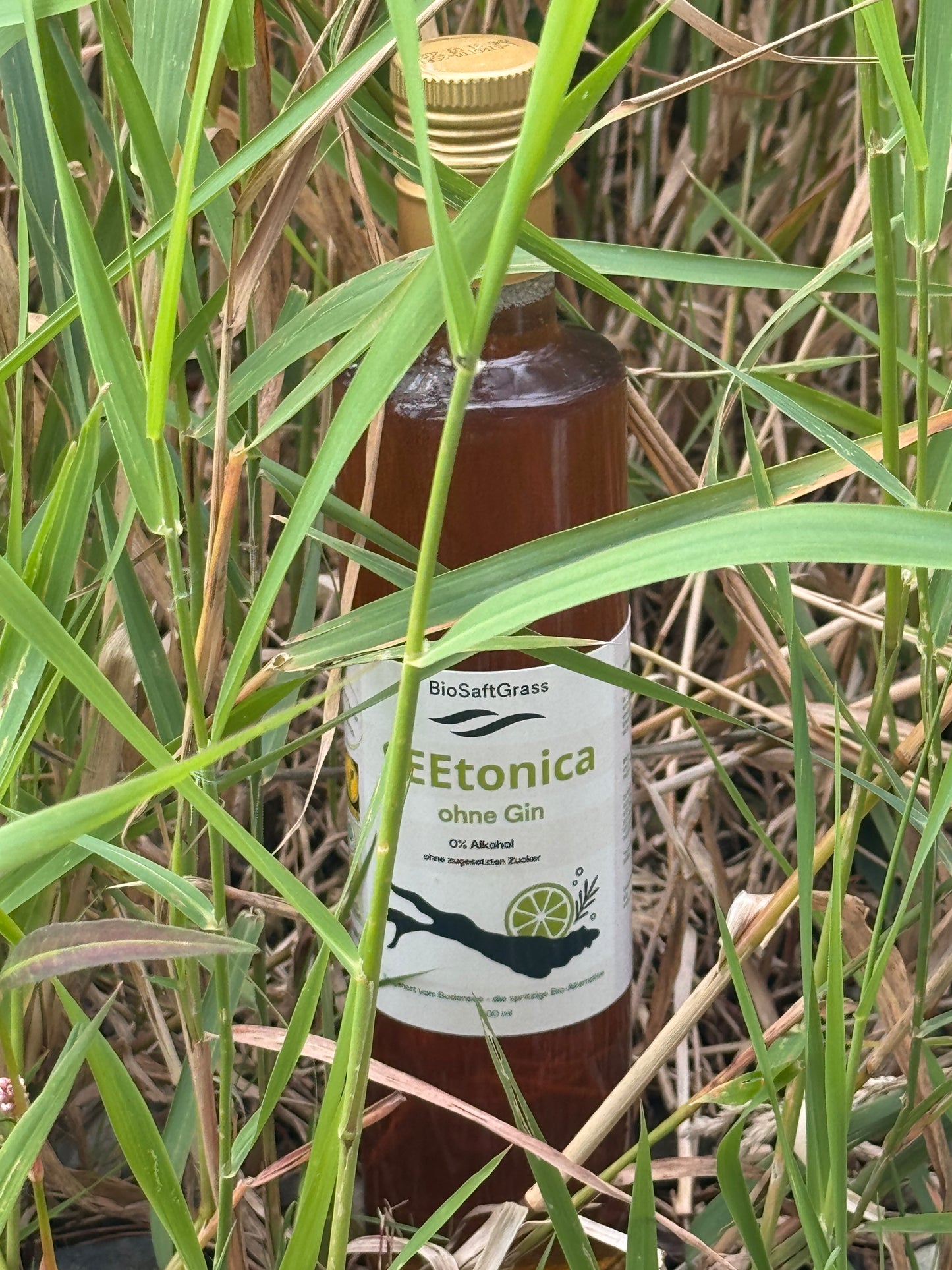 SEEtonica, der anti-alkoholische Aperitif vom Bodensee