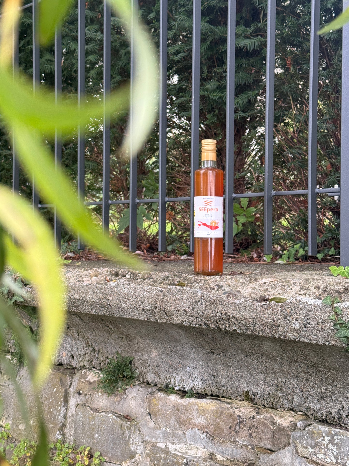 SEEpero, der anti-alkoholische Aperitif vom Bodensee